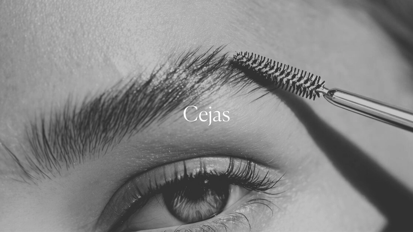 Cejas (1)