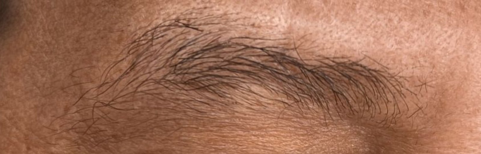 Cejas (1682 x 540 px) Cejas (1682 x 540 px)